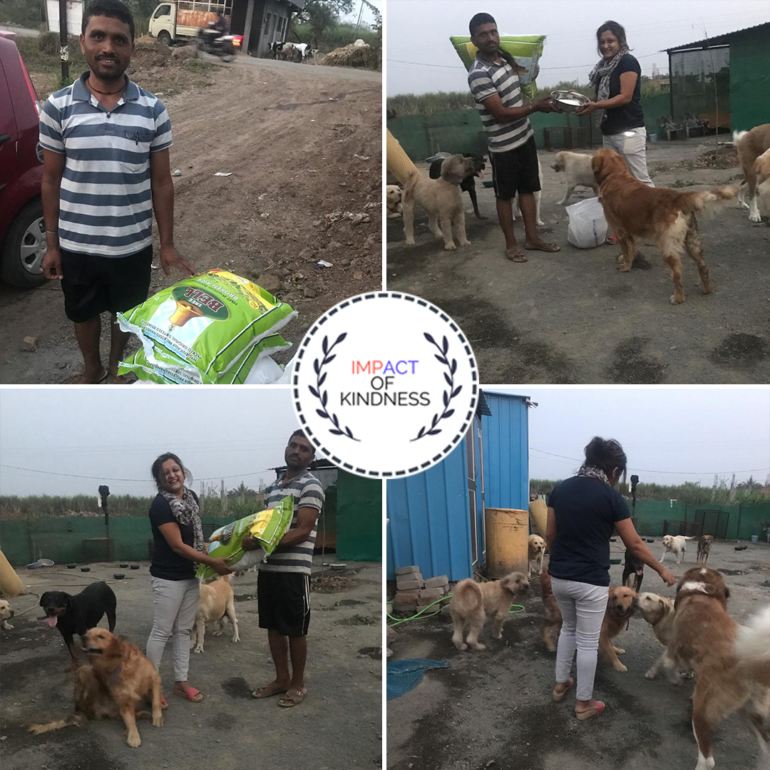 Animal Rescue Trust - Pune
